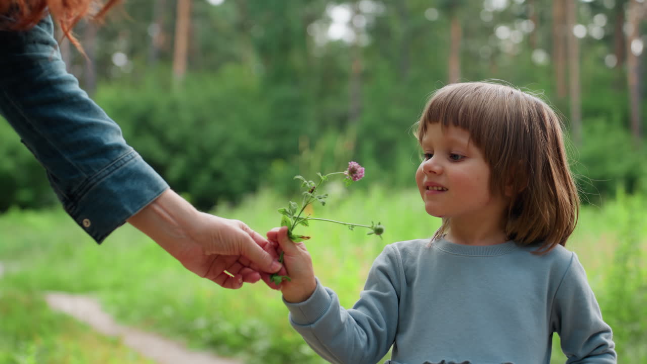 Little girl reaches hand toward wildflower smiling with delight, gently collecting and smelling it in sunny green forest, expressing curiosity, innocence, and pure childhood joy surrounded by nature