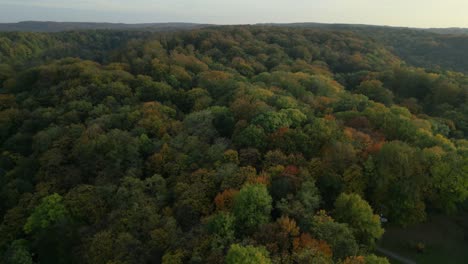 vista aérea del bosque de otoño