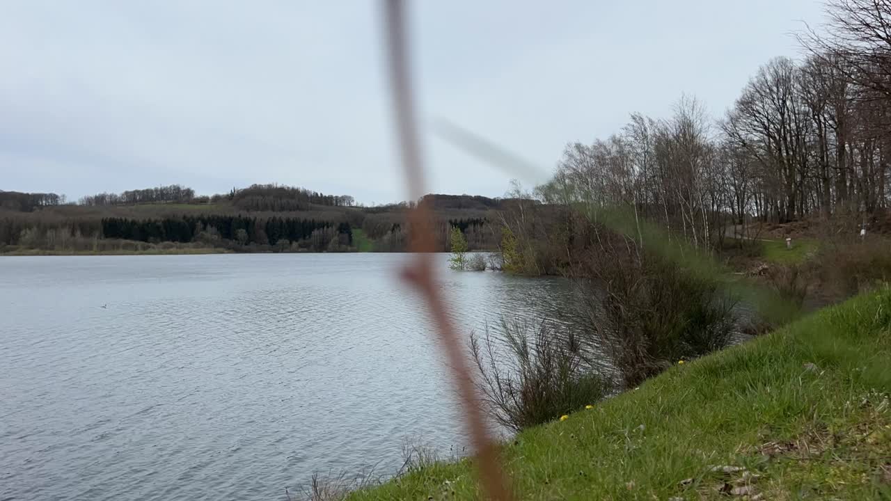 숲 에 둘러싸인 작은 호수 의 타임  ⁇ 스