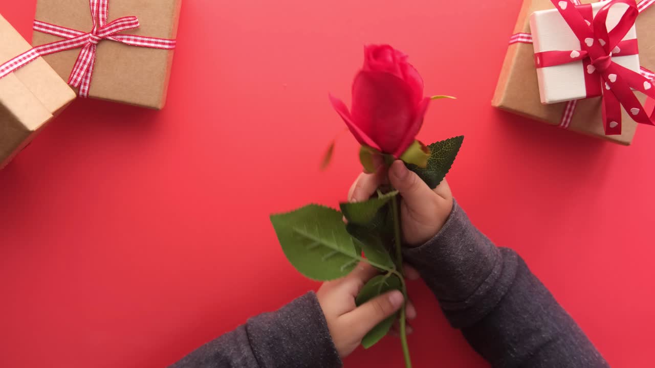 con un regalo de una rosa roja