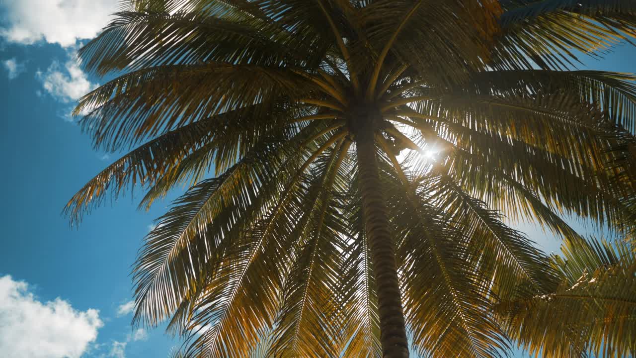 Cozy campfire setting by the lake as twilight descends, with hands pouring coffee into a mug. Warm glow, serene atmosphere, silhouetted figures enhancing tranquil mood