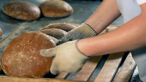 a worker collects hot round bread loaves into a wooden tray for packing.