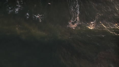 surfers riding waves