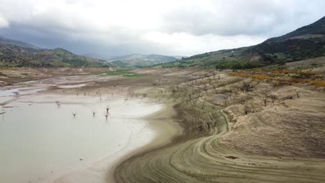 Dead-trees-in-middle-of-marshland-surrounded-by-mountain-landscape,-aerial-drone-view