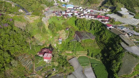 vista general del paisaje del distrito de brinchang dentro del área de cameron highlands de malasia