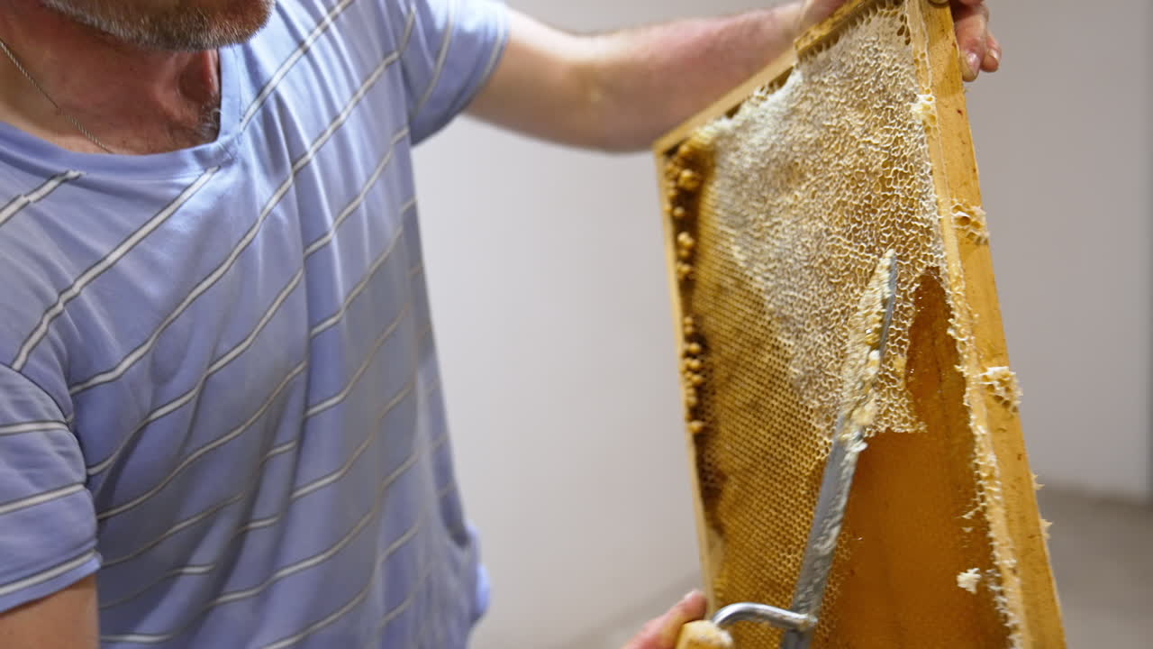 Unrecognized male beekeeper opens cells on the honey frame using special knife. Man preparing frames for honey extraction in machine.