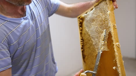 Unrecognized male beekeeper opens cells on the honey frame using special knife. Man preparing frames for honey extraction in machine.