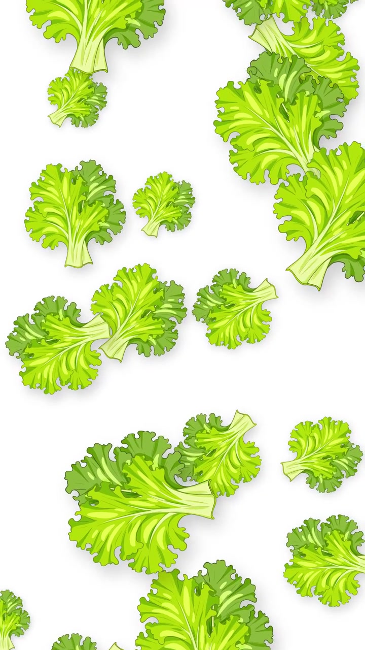 Animated Green Lettuce Leaves Falling on White Background