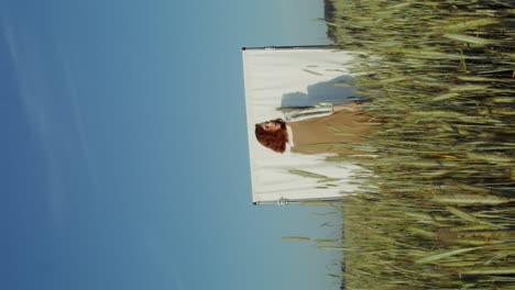 mujer en un campo de trigo