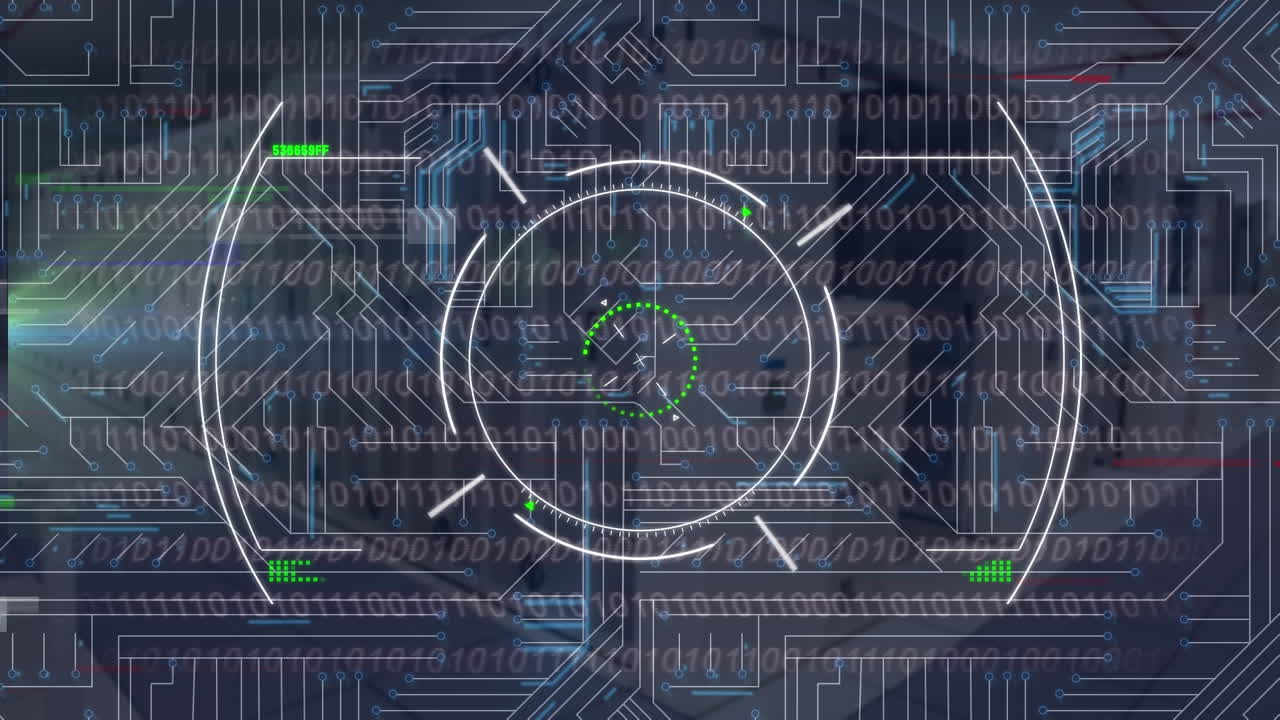 Animation of network of connections over data processing