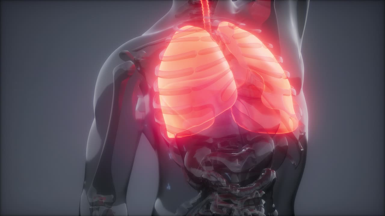 examen radiológico de los pulmones humanos