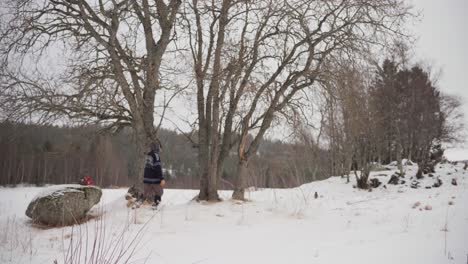 Person-Looking-At-Tall-Trees-In-Winter-Countryside