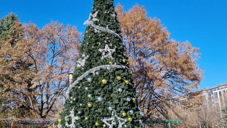 雪のない晴れた日に都市公園の高いクリスマス ツリー