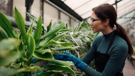 mujer florista en el invernadero, trabajador inspeccionando las hojas verdes