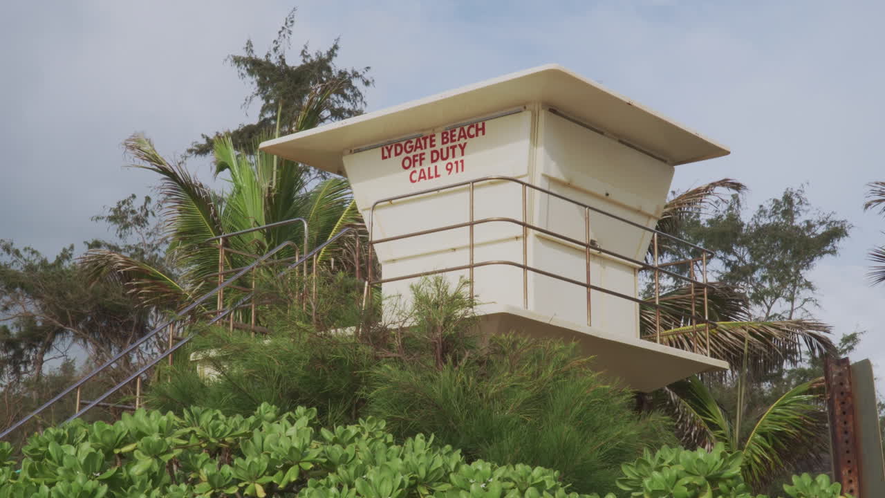 pedestal: brisa matutina moviendo las palmeras cerca de una torre de salvavidas en la playa en la isla de kauai hawaii
