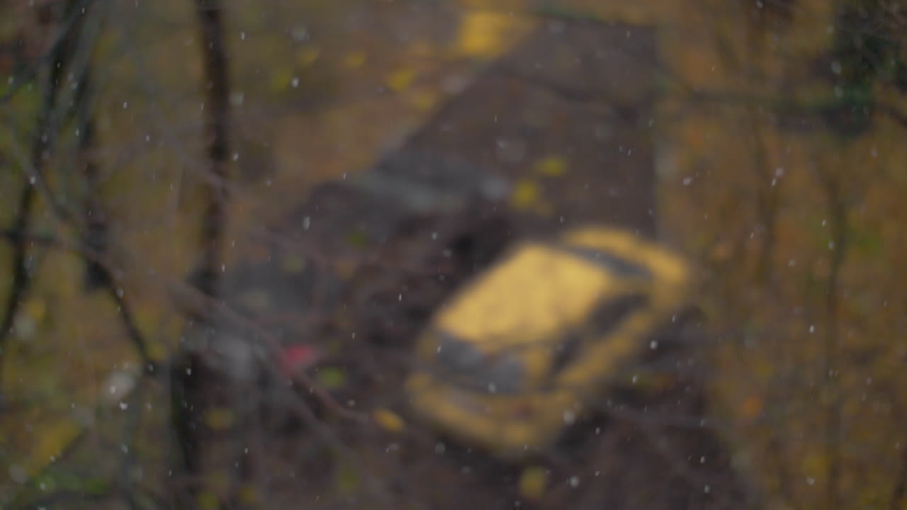 día de otoño nevado en la ciudad