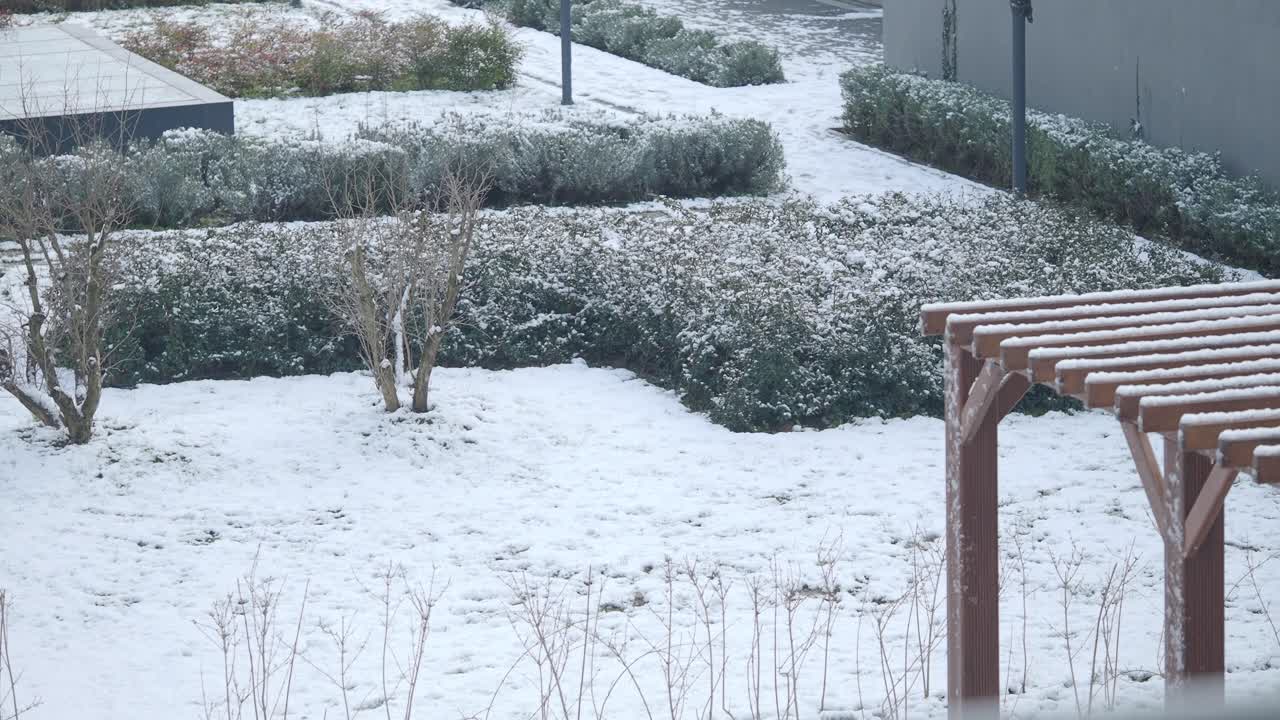 Snowy Garden Landscape