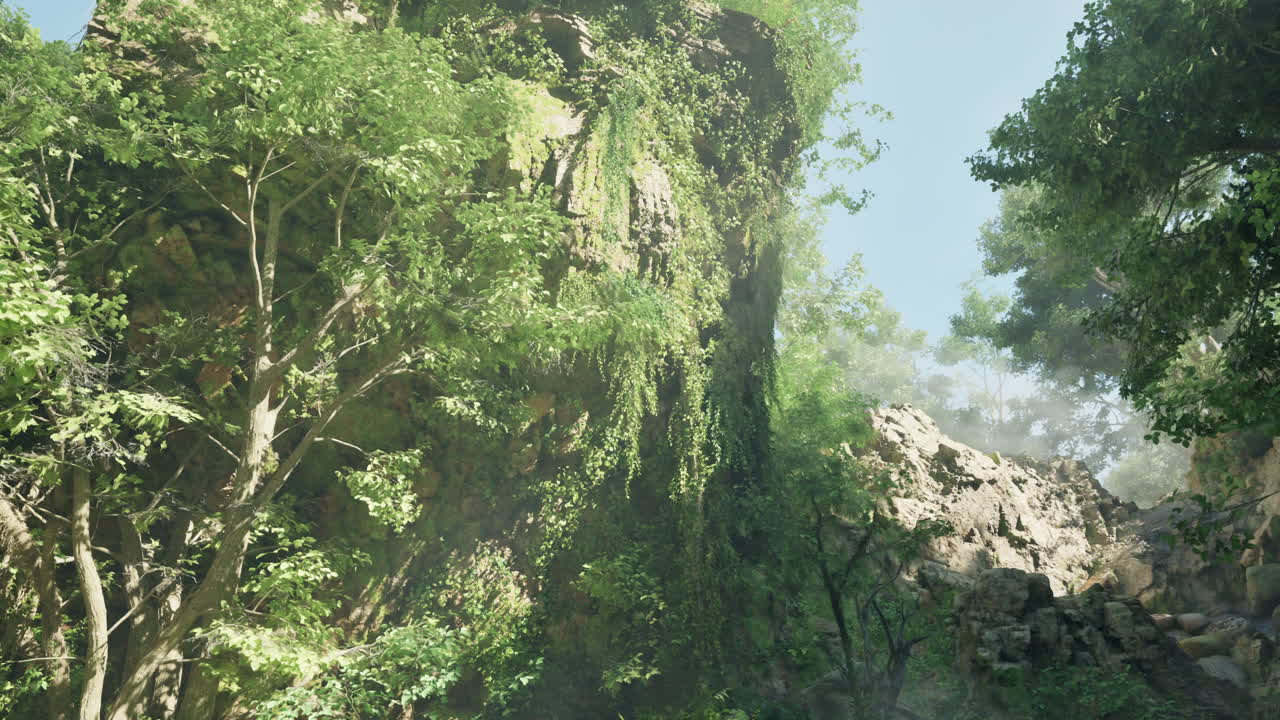 절벽 과 울창 한 식물 이 있는 빛 이 비치는 숲 길