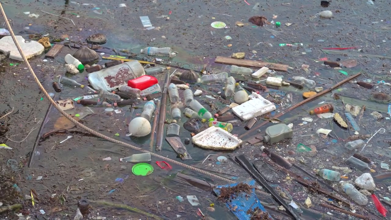 Plastic Waste and Debris Floating in Polluted Harbor Water