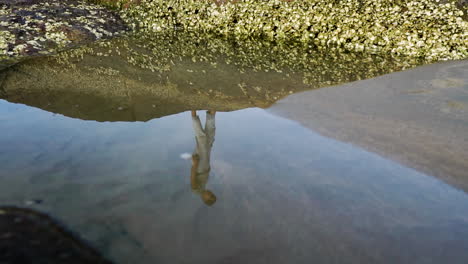 reflection of beautiful redhead woman walking near water