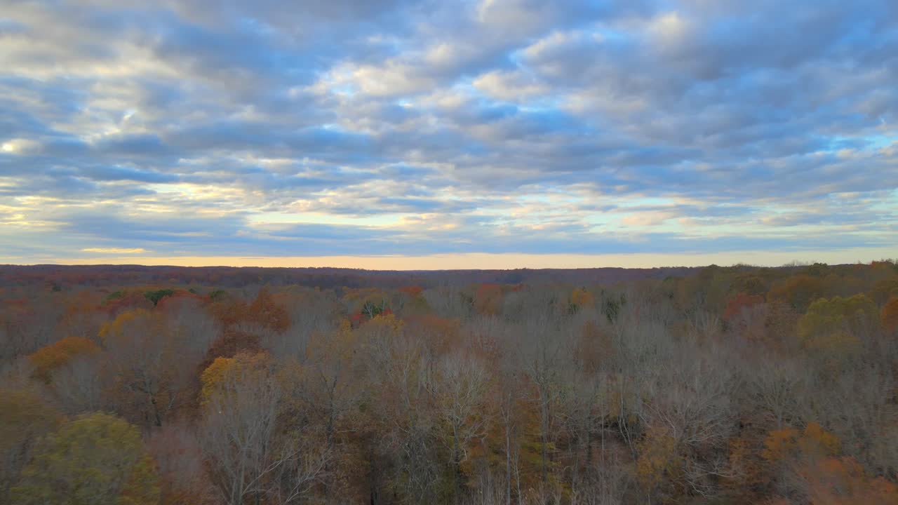 Flying over beautifully colored autumn trees with a beautiful blue sky with fluffy clouds