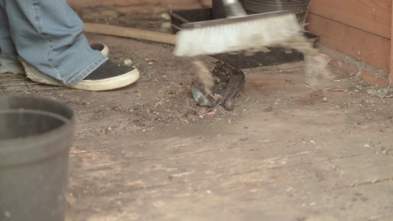propietario barriendo la suciedad y el polvo en el cobertizo de madera