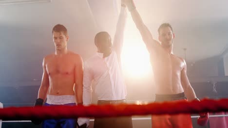 boxer holding winner hand after announcing victory