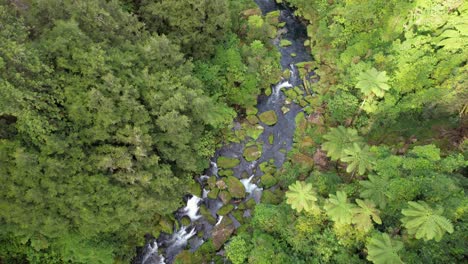 Omanawa-Rocky-River-In-Heiliger-Natur-In-Der-Nähe-Von-Tauranga,-Bay-Of-Plenty-Auf-Der-Nordinsel,-Neuseeland