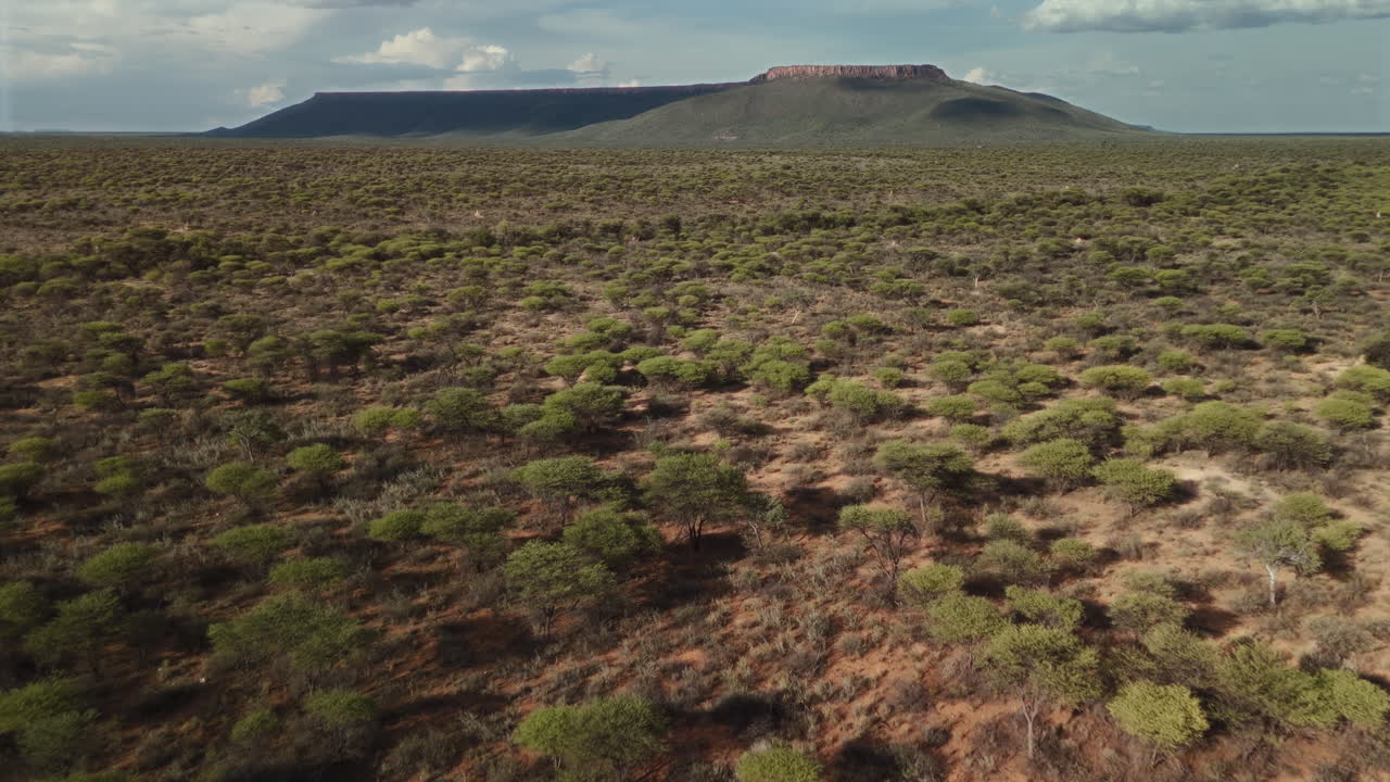 Aerial view of a savanna landscape with a plateau in the background