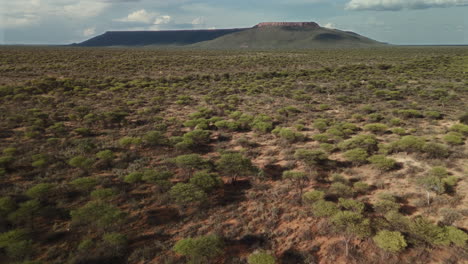 aerial view of a savanna landscape with a plateau in the background