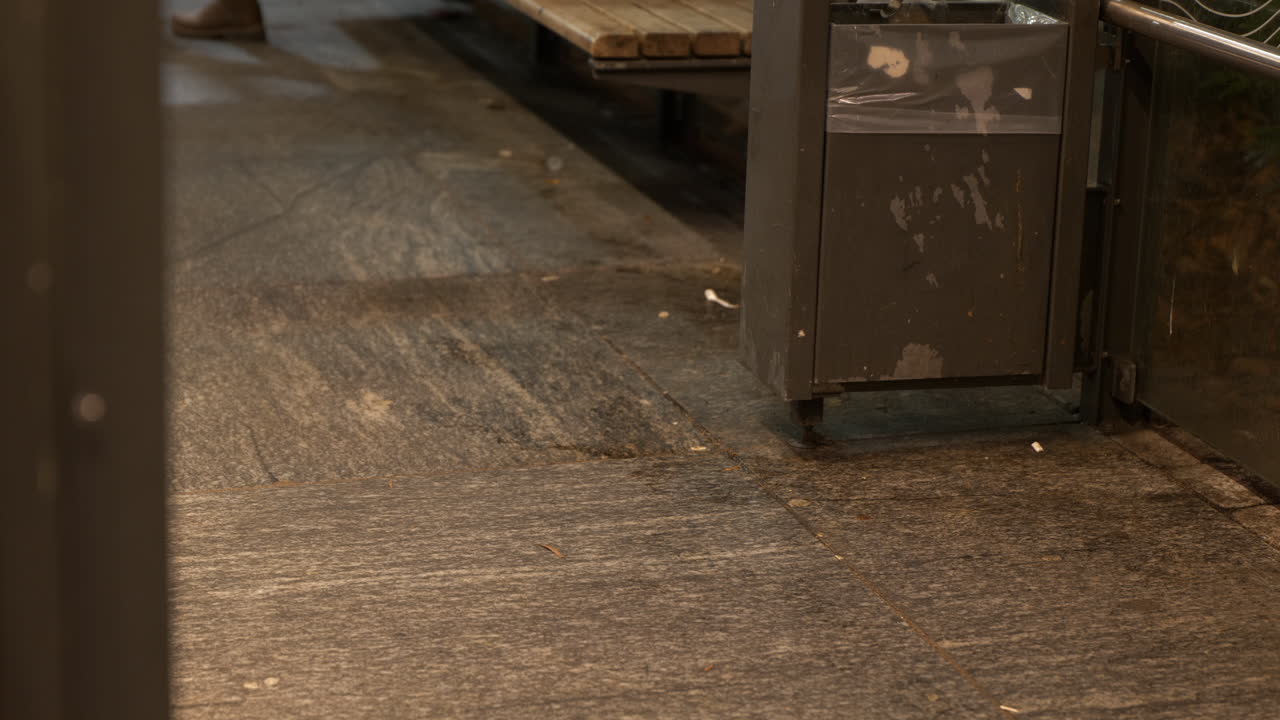 먹는 쥐의 정적인 장면은 바닥에 남아 있다가 사람들에게서 도망칩니다.