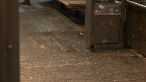 static shot of rats eating remains on the floor and then running away from people