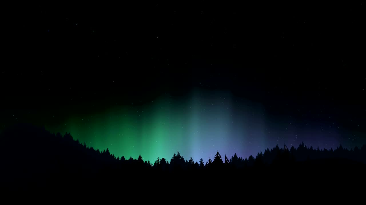 Arctic bright northern light over forest landscape.