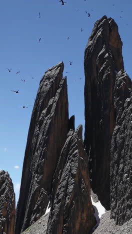 rocky mountain peaks with birds