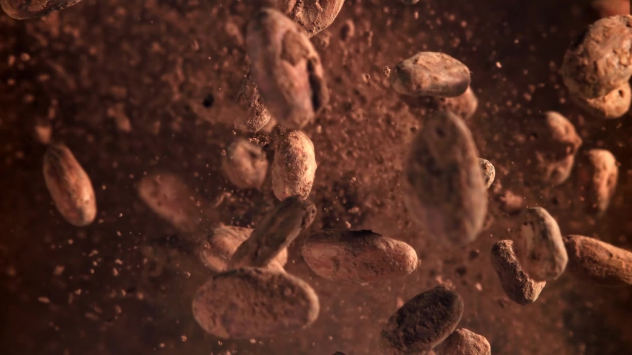Raw Cocoa Beans and Powder Falling in Slow Motion