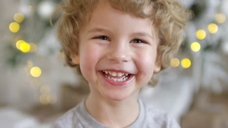 süßer blonder kleiner junge, der an weihnachten in die kamera lächelt