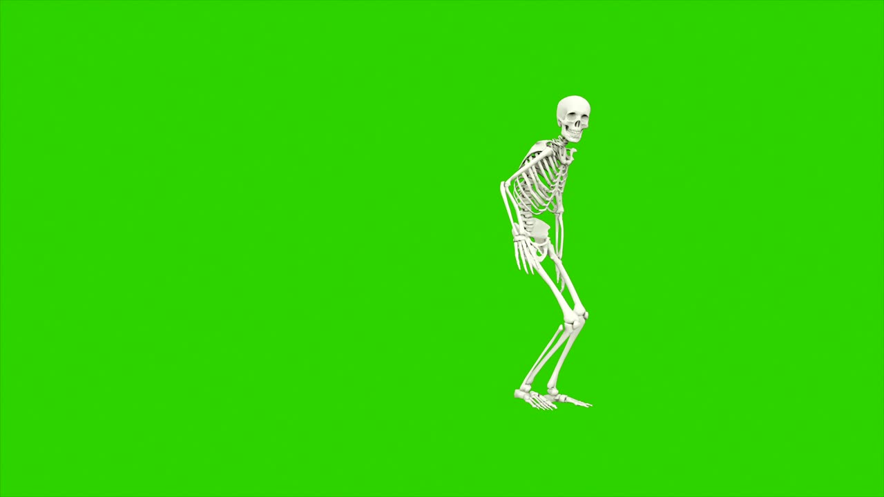 Scheletro che balla. Animazione in loop continuo su schermo verde.