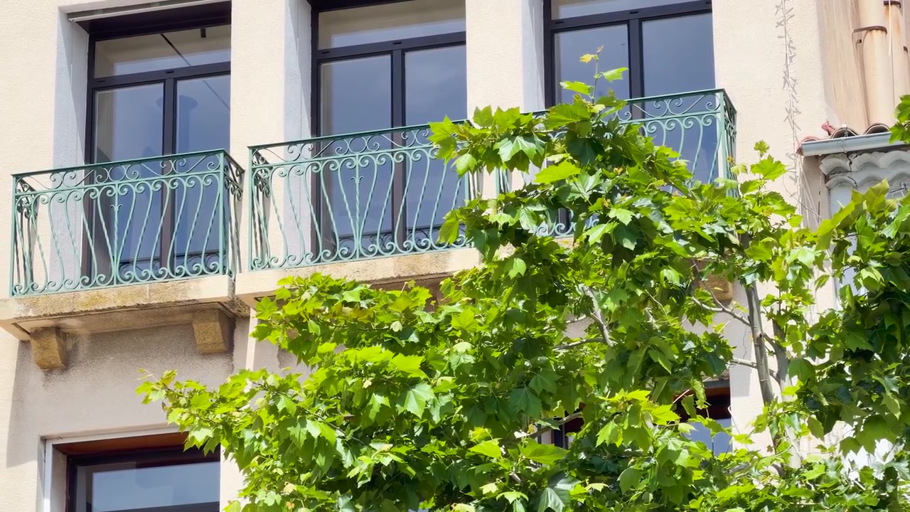Inquadratura media statica di una facciata di un classico edificio europeo con balconi ornati e una vegetazione lussureggiante.