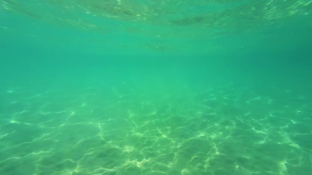 아름다운 황금색 해변 근처에서 수중 수영, 크리스탈  ⁇ 은 투르코이즈 물, 타소스 섬, 그리스