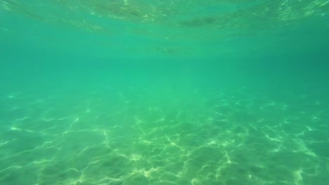 Underwater-Swim-Near-The-Beautiful-Golden-Beach,-Crystal-Clear-Turquoise-Water,-Thassos-Island,-Greece