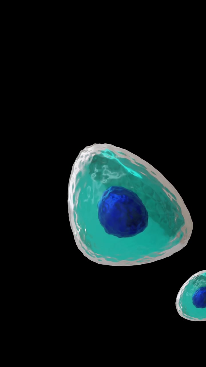 Animazione di cellule microscopiche blu e turchesi su sfondo nero