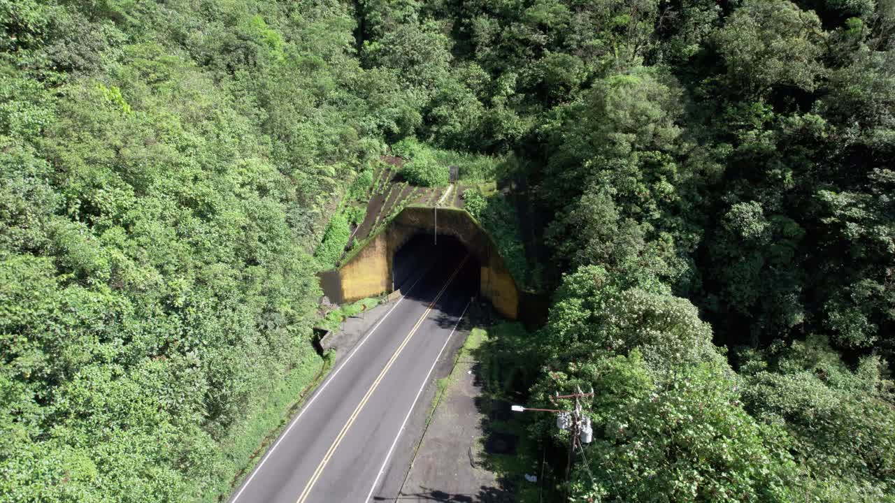 코스타리카의 열대우림에 있는 주르키 공원 한가운데에 있는 터널의 드 다운