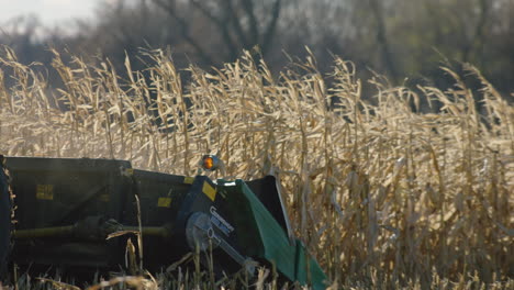 combine harvester, sunny day, slow motion