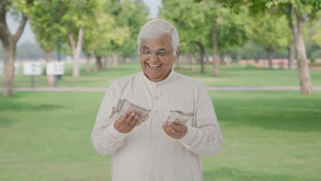 Cheerful-Indian-old-man-counting-money-in-park