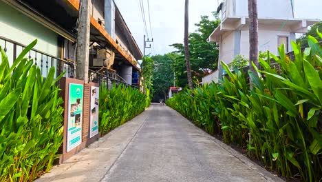 lush greenery lines a quiet, serene alley