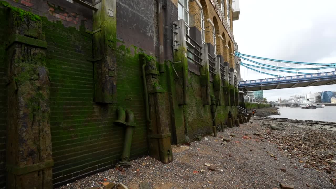 Moss-covered wall along Thames River shore near Tower Bridge in London on a cloudy day