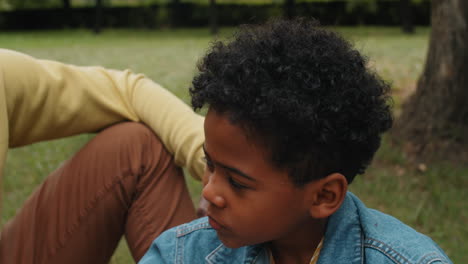 happy african american boy and dad petting golden retriever dog on picnic
