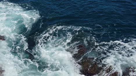 hd hawaii kauai slow motion static wide shot of white capped ocean waves swirling around rocks as one sea turtle surfaces near center frame