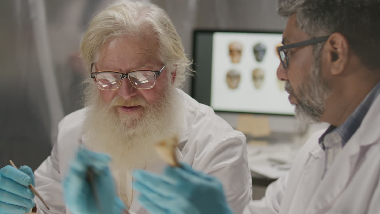 Elderly Scientist Discussing Bone with Colleague during Archaeological Research