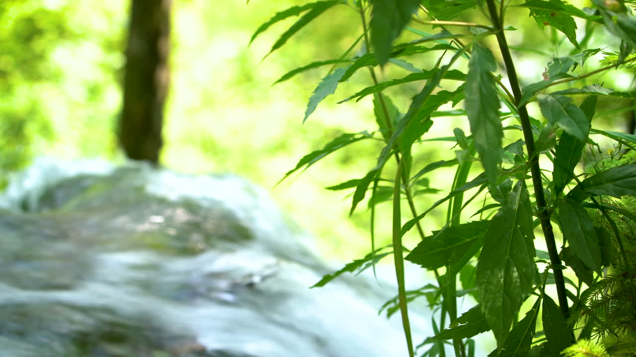 크로아티아의 플리트비체 호수에서 흐르는 물줄기